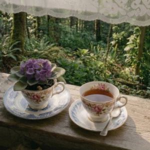 Teacup Violet Garden DIY