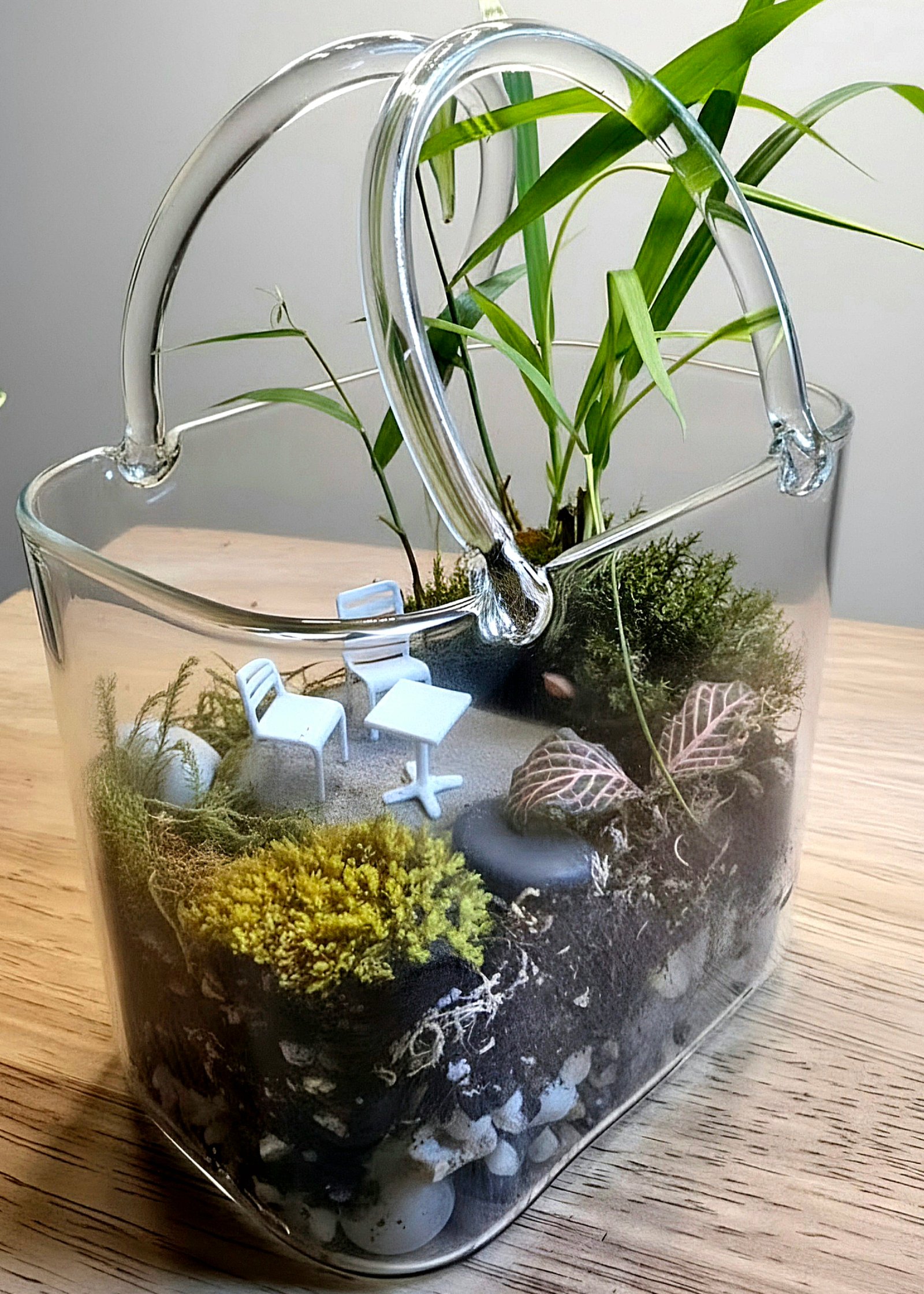 Purse Terrarium – Complete Miniature Ecosystem